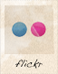 flickr icon